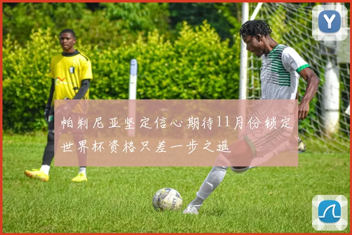 帕利尼亚坚定信心期待11月份锁定世界杯资格只差一步之遥