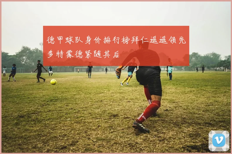 德甲球队身价排行榜拜仁遥遥领先多特蒙德紧随其后